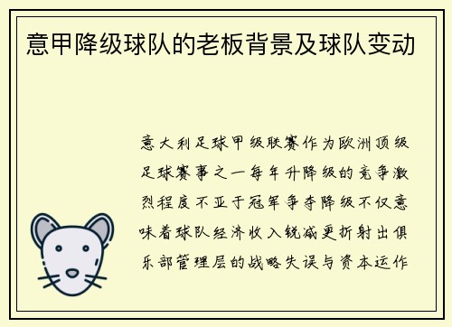意甲降级球队的老板背景及球队变动