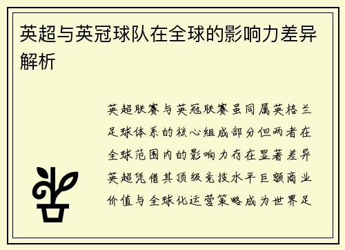 英超与英冠球队在全球的影响力差异解析